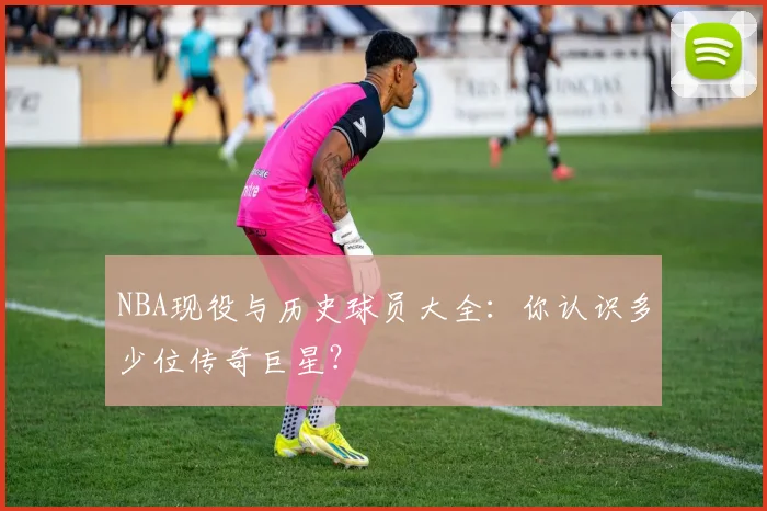 NBA现役与历史球员大全：你认识多少位传奇巨星？