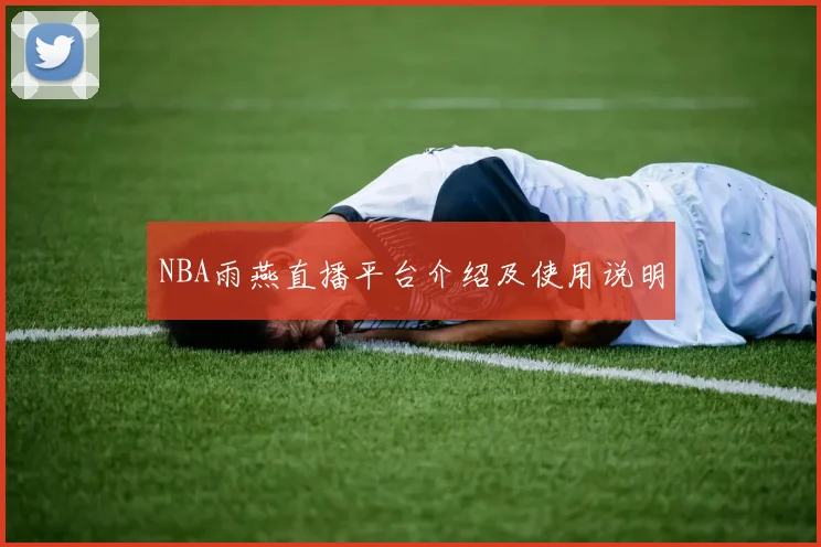 NBA雨燕直播平台介绍及使用说明