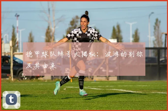 德甲球队绰号大揭秘：波鸿的别称及其由来