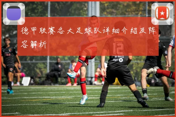 德甲联赛各大足球队详细介绍及阵容解析