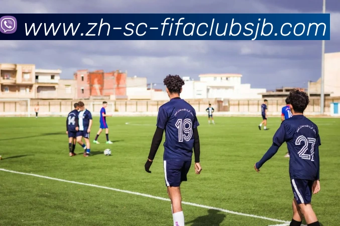 世界杯赛程平台生态图