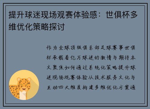 提升球迷现场观赛体验感：世俱杯多维优化策略探讨